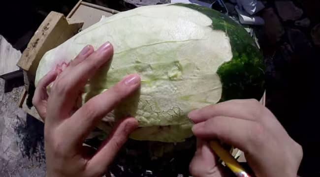 Watch_This_Watermelon_Become_A_Terrifying_Dragon2