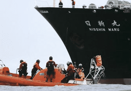 JAPANESE_WHALING_CREW_EATEN_ALIVE_BY_KILLER_WHALES_16_DEAD