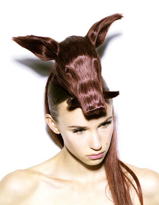 10_Mind_blowing_animal-shaped_hair_sculptures_by_Nagi_Noda