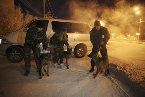 Korean cloned dogs arrive in Yakutia